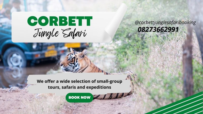 Corbett Jungle Safari Booking